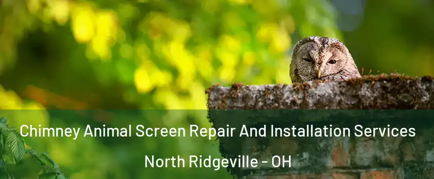  Chimney Animal Screen Repair And Installation Services North Ridgeville - OH