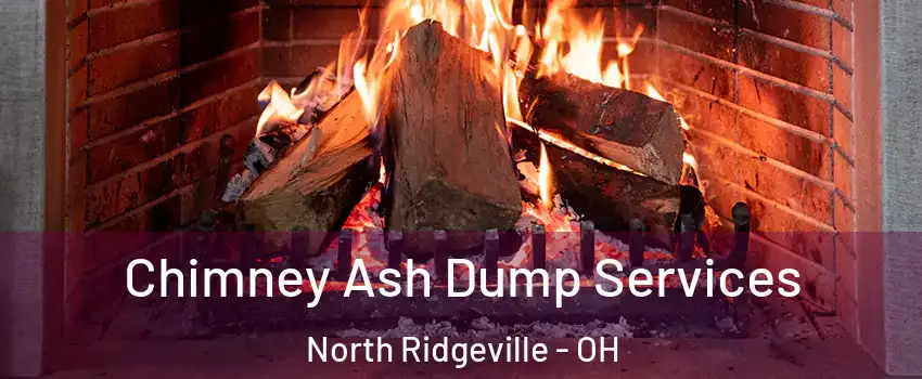  Chimney Ash Dump Services North Ridgeville - OH