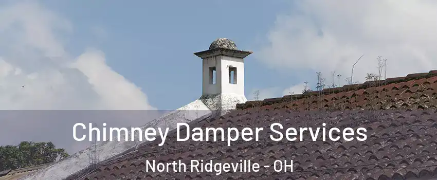  Chimney Damper Services North Ridgeville - OH