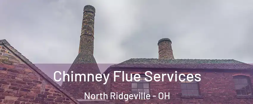  Chimney Flue Services North Ridgeville - OH