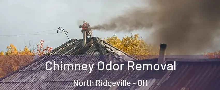  Chimney Odor Removal North Ridgeville - OH