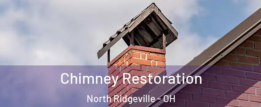  Chimney Restoration North Ridgeville - OH