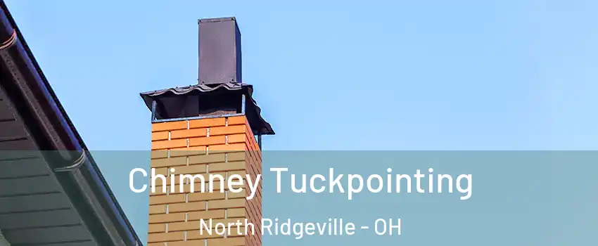  Chimney Tuckpointing North Ridgeville - OH