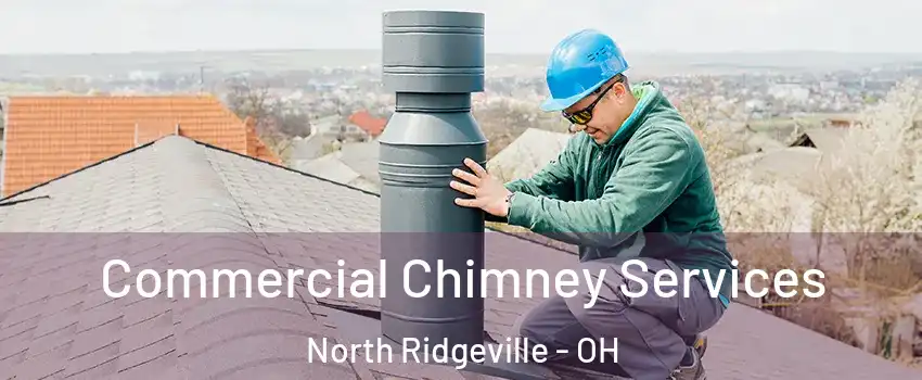  Commercial Chimney Services North Ridgeville - OH