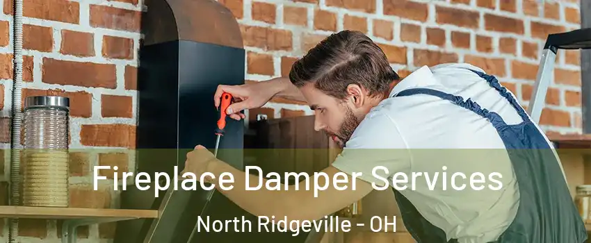  Fireplace Damper Services North Ridgeville - OH