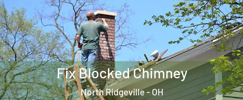  Fix Blocked Chimney North Ridgeville - OH
