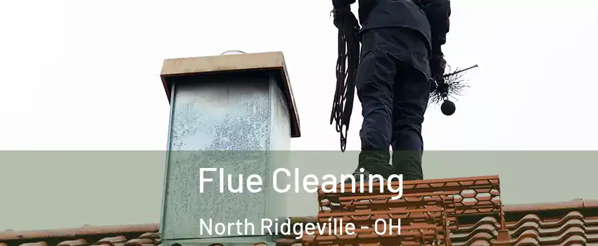  Flue Cleaning North Ridgeville - OH