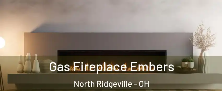  Gas Fireplace Embers North Ridgeville - OH