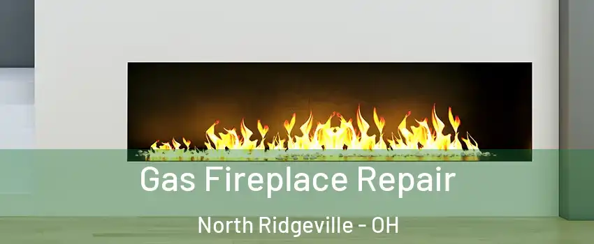  Gas Fireplace Repair North Ridgeville - OH