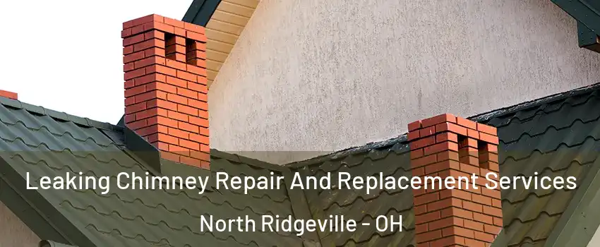  Leaking Chimney Repair And Replacement Services North Ridgeville - OH