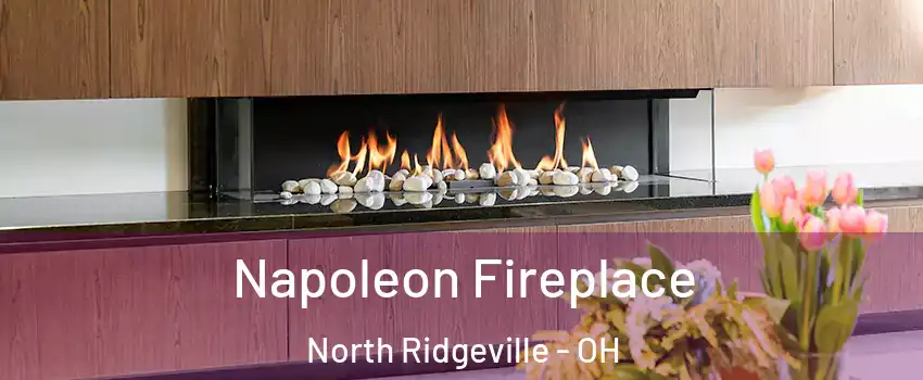  Napoleon Fireplace North Ridgeville - OH